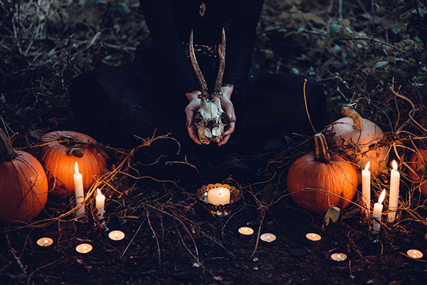 freestocks-org-y_dCjaRWthY-unsplash Ceremony in the woods